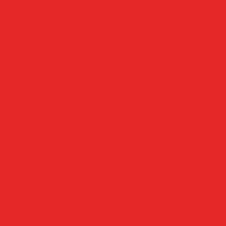 Bresser SBP05 Red Paper Background Roll - 2.72m x 11m for Photography & Studio Backdrops