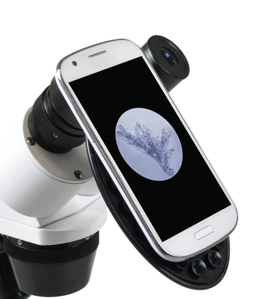 Bresser Erudit ICD 30.5x Stereo Microscope with High Magnification for Detailed Inspection