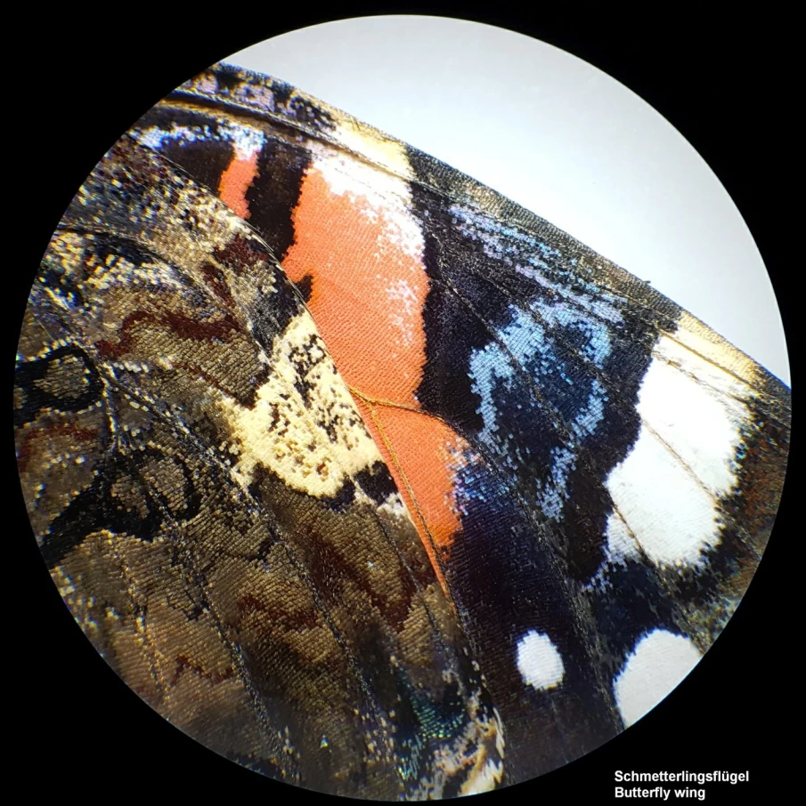 Bresser Analyth Str 10X-40X Stereo Microscope with High Magnification for Precision Lab and Research Use