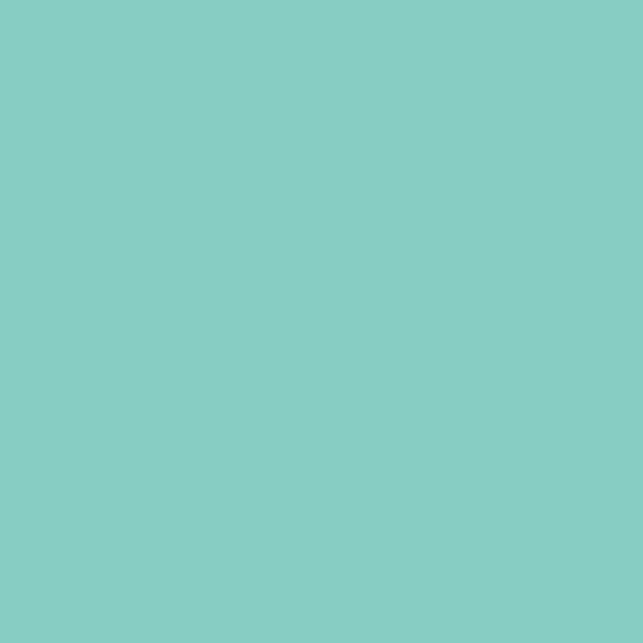 Bresser SBP18 Blue Paper Background Roll - 2.72m x 11m for Photography Backdrops