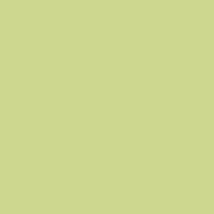 Bresser SBP19 Tropical Green Paper Background Roll 1.36m x 11m for Photography Backdrops