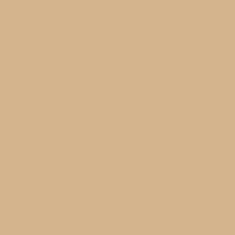 Bresser SBP15 Beige Paper Background Roll - 1.69m x 11m for Photography & Studio Backdrops