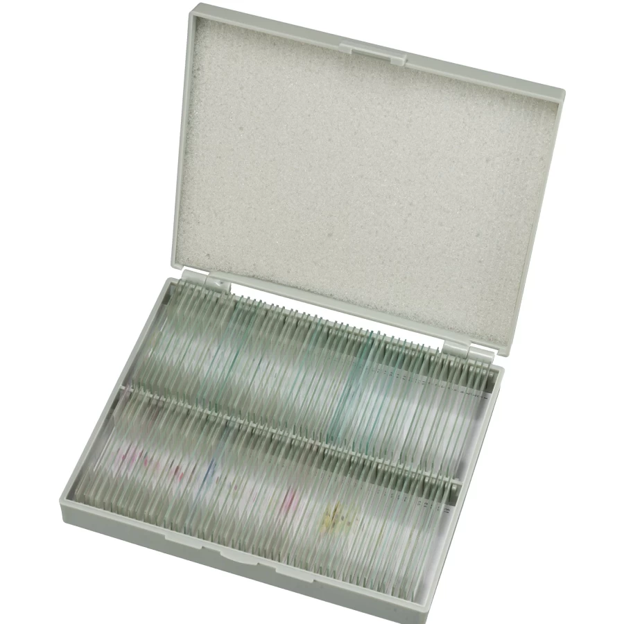 Bresser 100-Piece Prepared Microscope Slides Set for Educational and Scientific Use