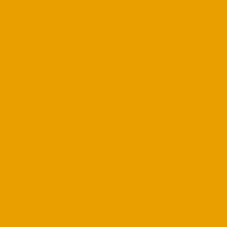 Bresser SBP14 Buttercup Yellow Paper Background Roll - 2.72m x 11m for Photography & Studio Backdrops