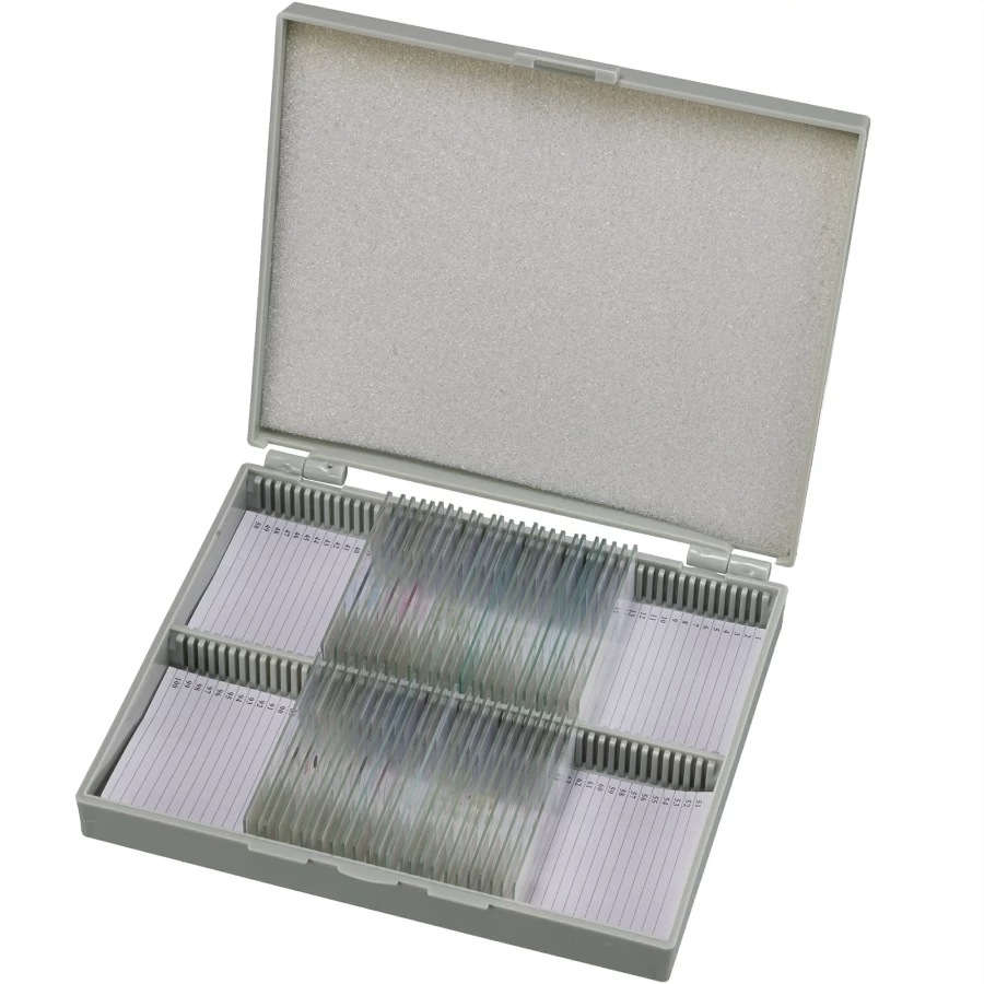 Bresser Animal Prepared Microscope Slides for Educational Biology Studies