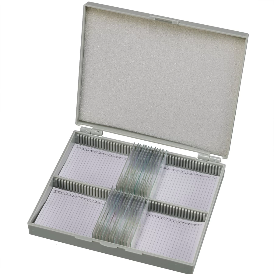 Bresser 25-Piece Prepared Microscope Slides Set for Educational and Scientific Use