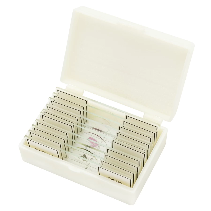 Bresser 10-Piece High-Quality Prepared Microscope Slides Set for Educational and Scientific Use